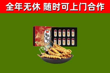 扬州回收冬虫夏草价格